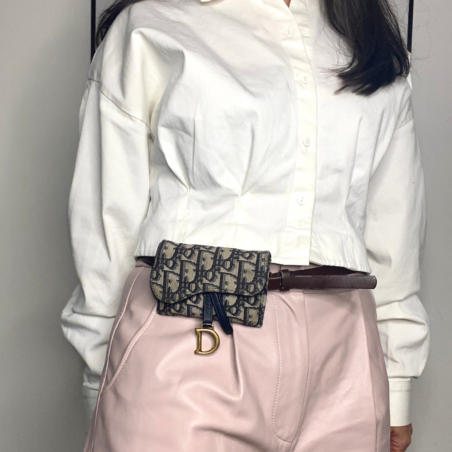 Christian Dior Oblique Nano Saddle Bag