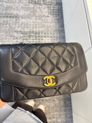 Chanel Diana Small