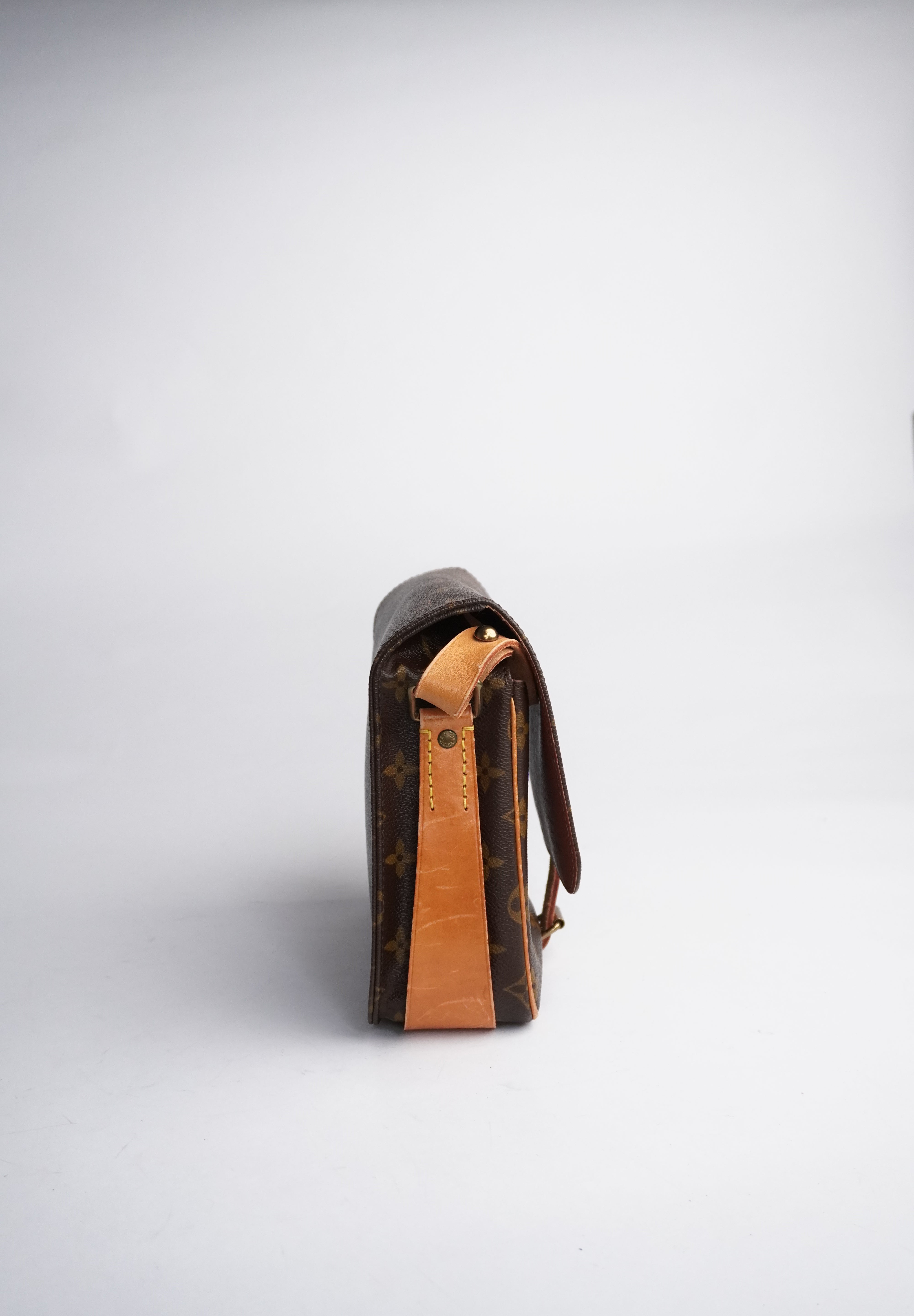 Louis Vuitton Cartouchière MM