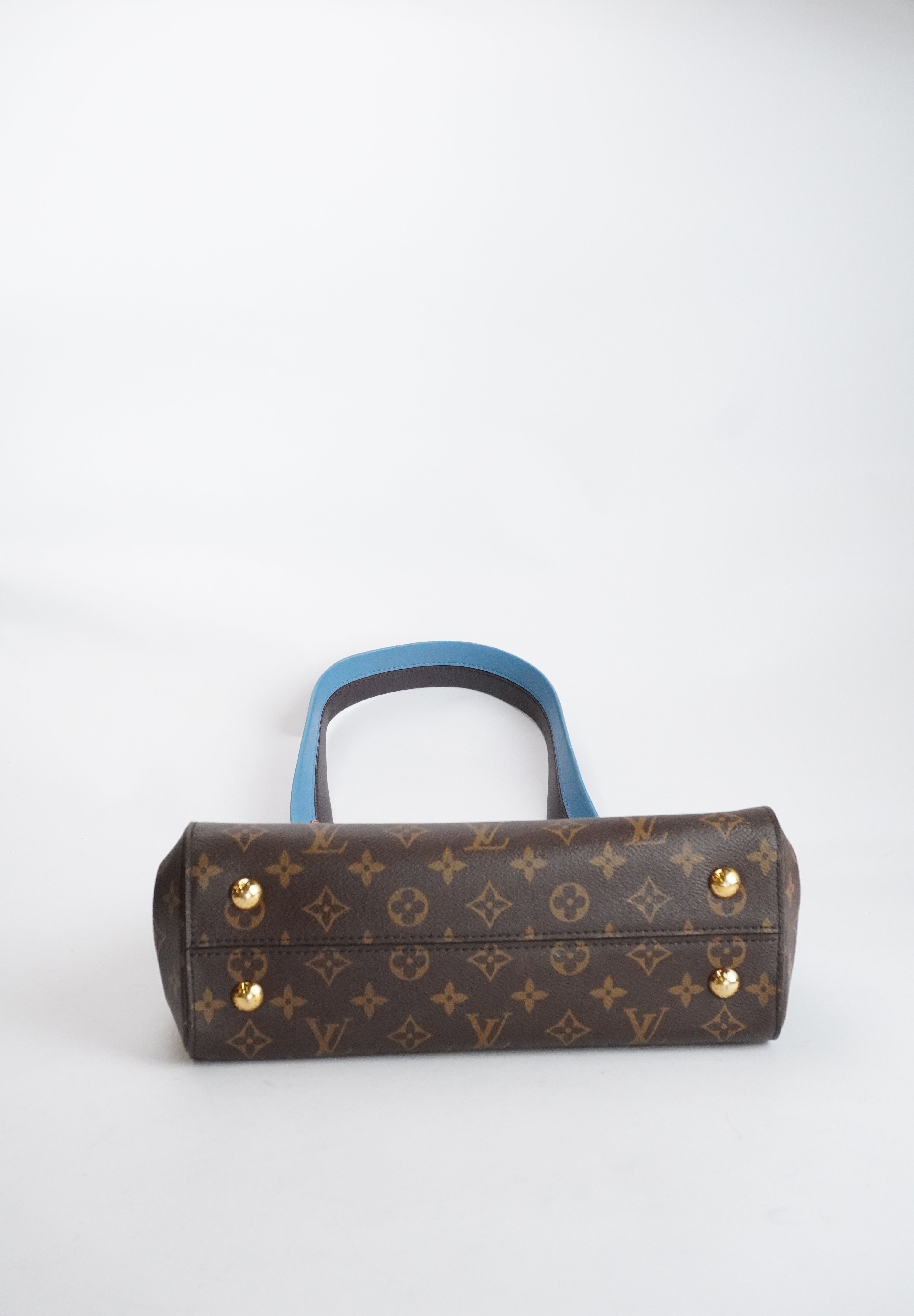 Louis Vuitton Cluny PM