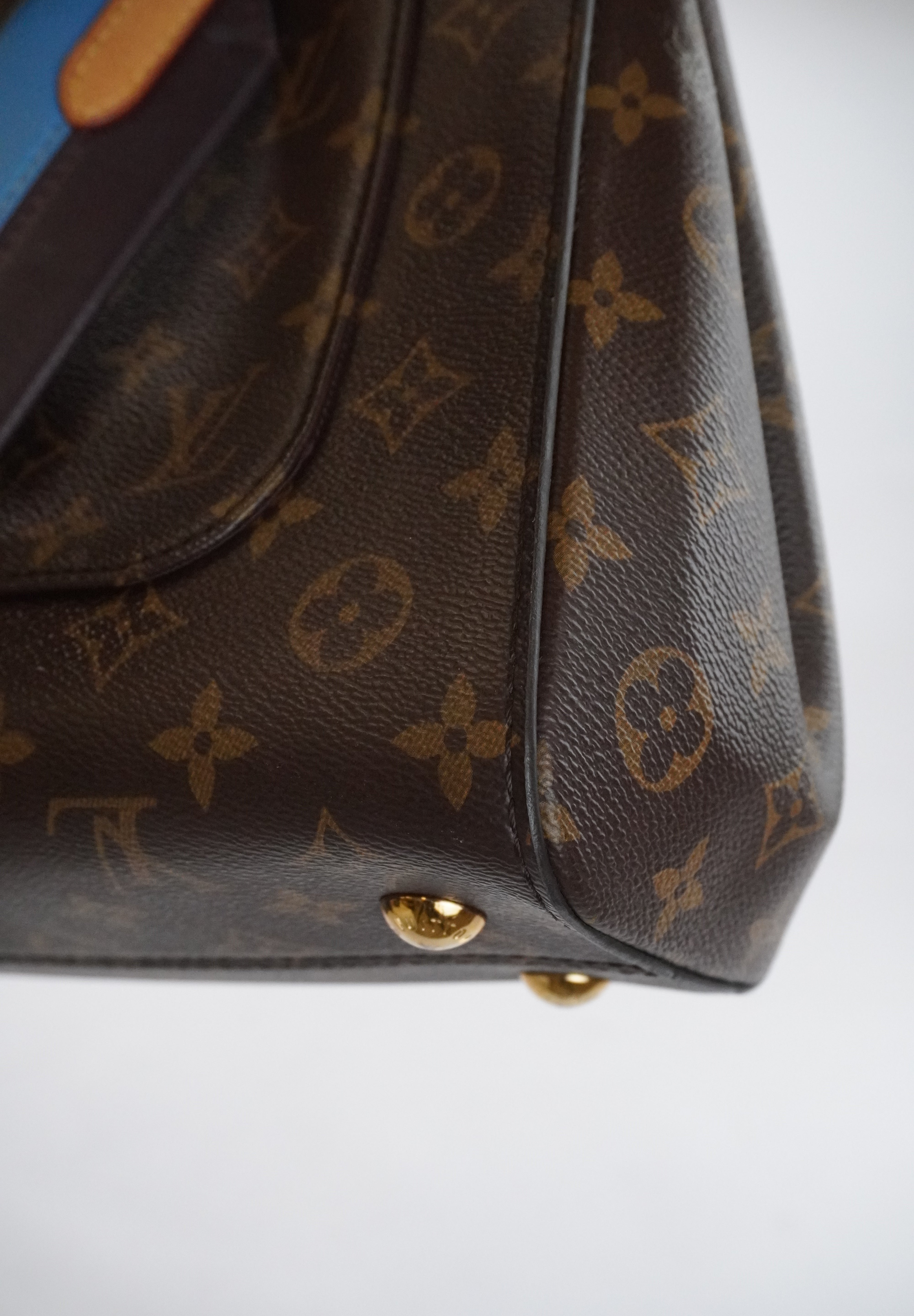 Louis Vuitton Cluny PM