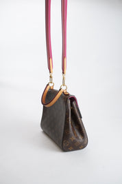 Louis Vuitton Cluny