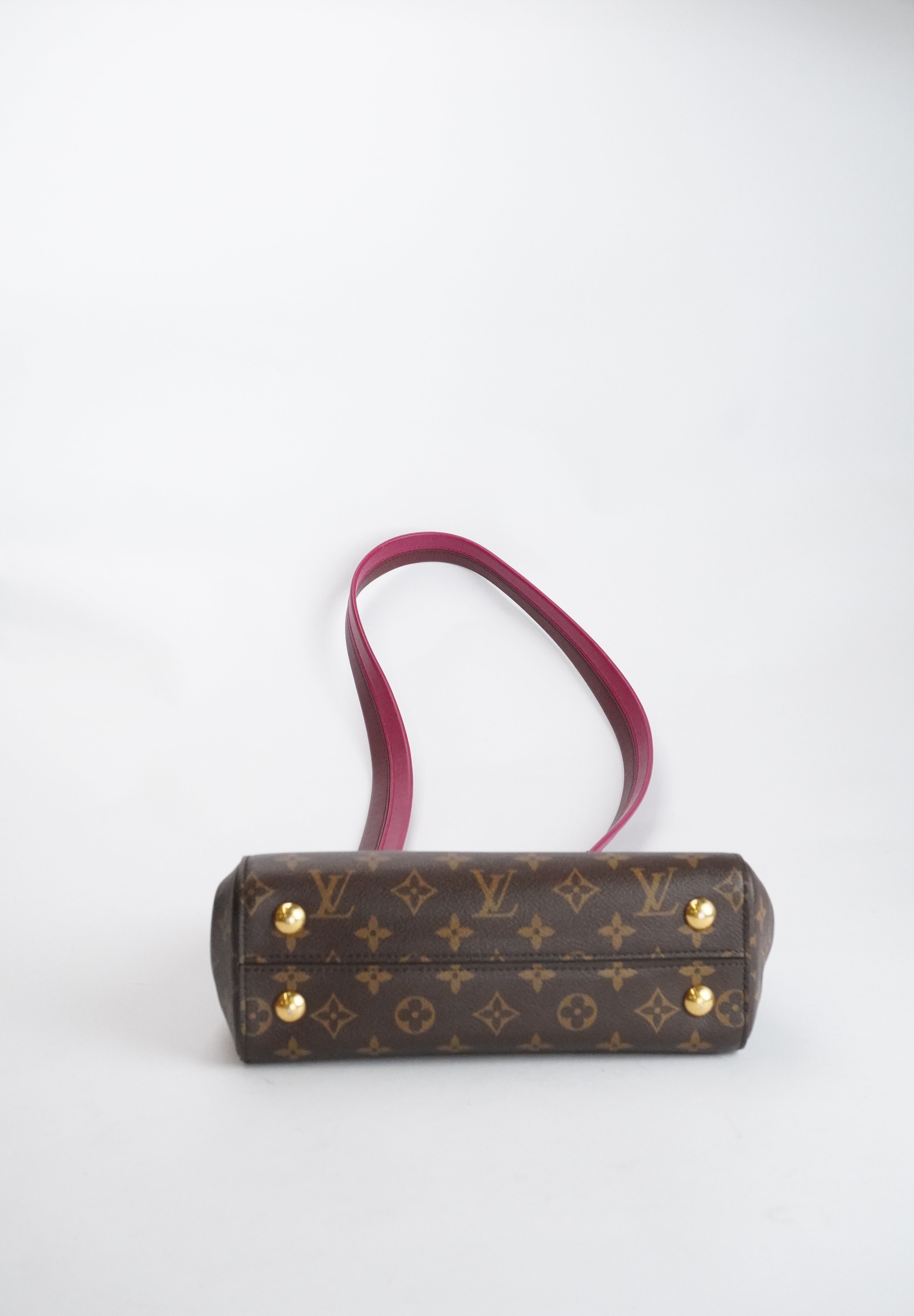 Louis Vuitton Cluny