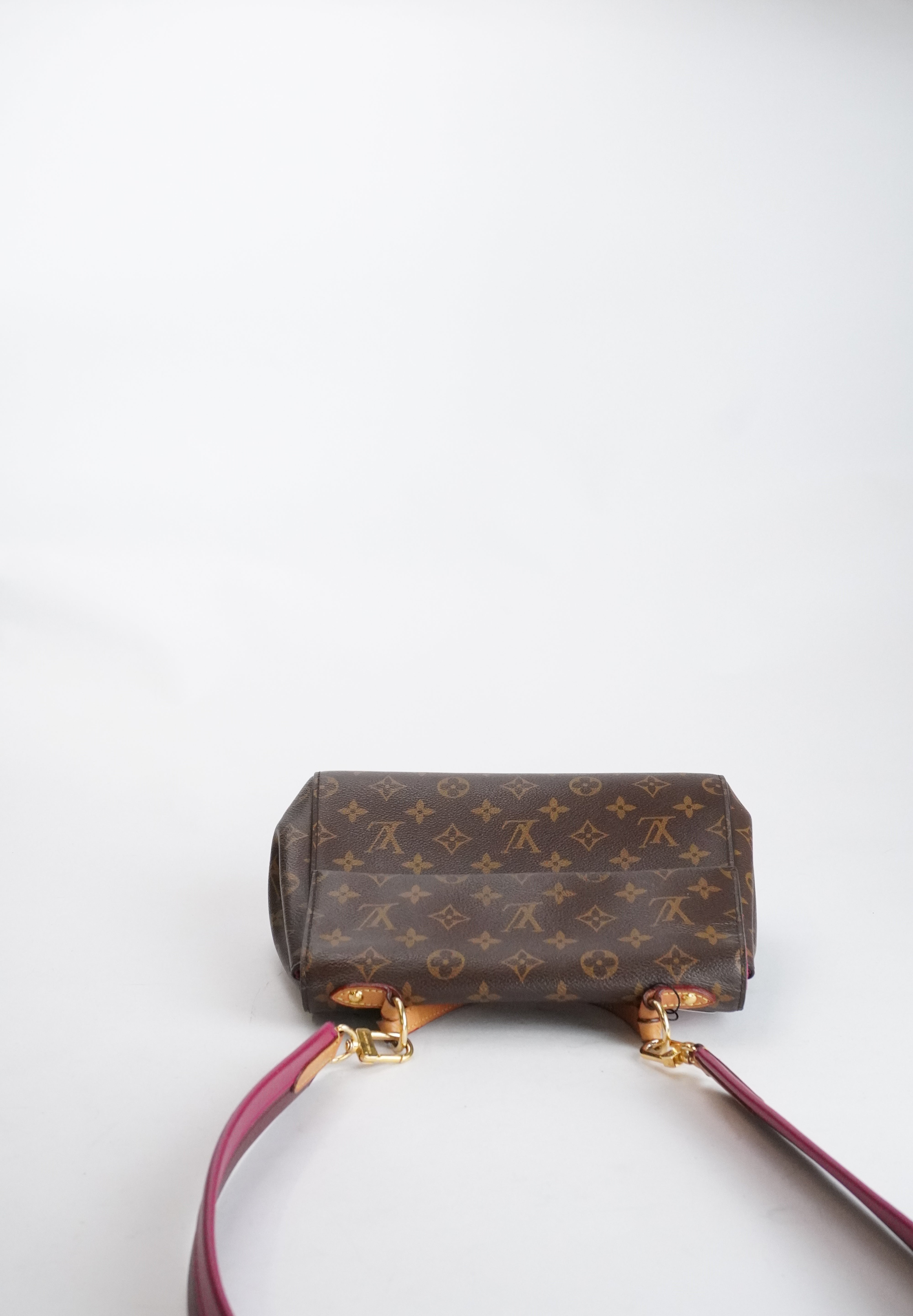 Louis Vuitton Cluny