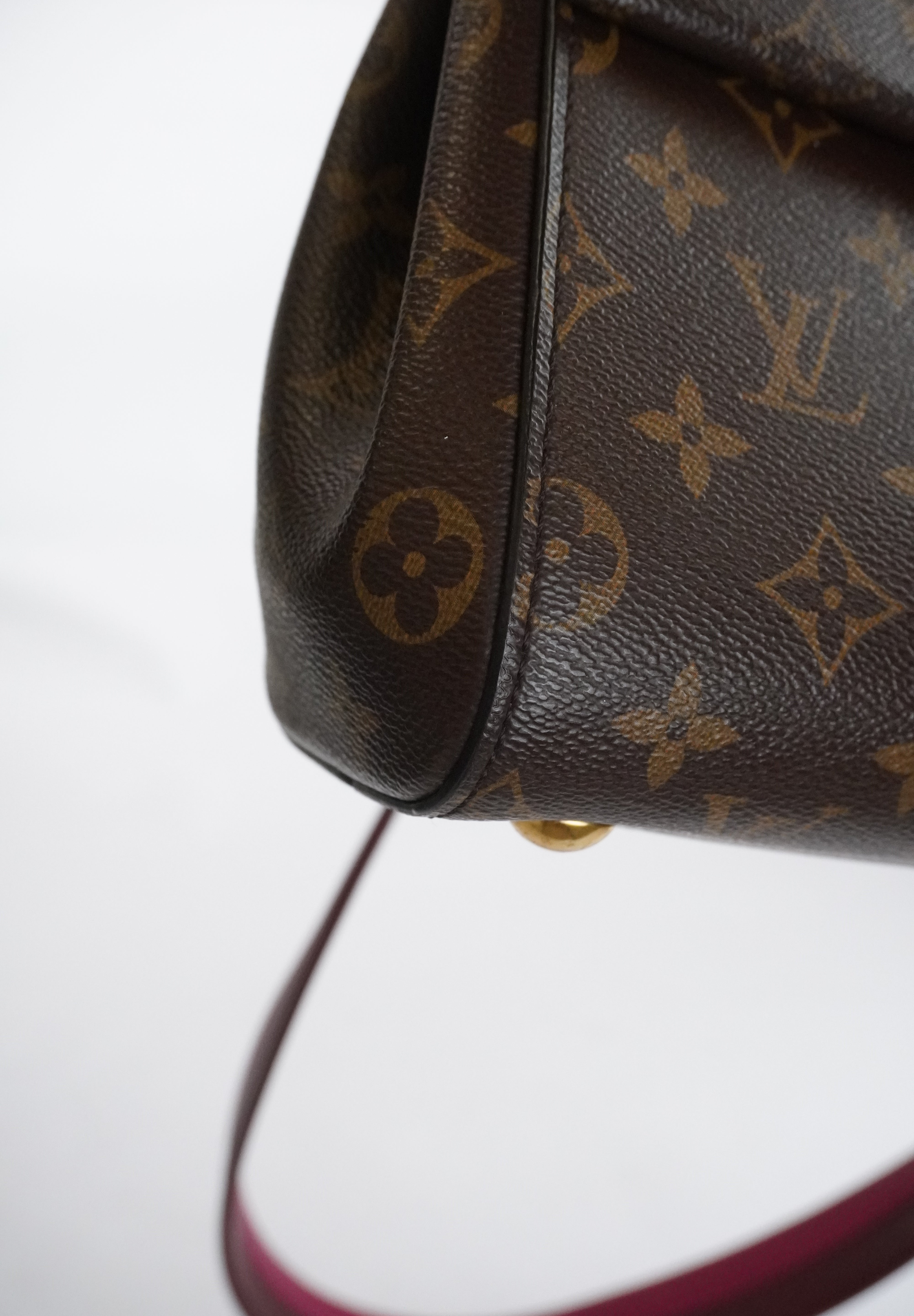 Louis Vuitton Cluny