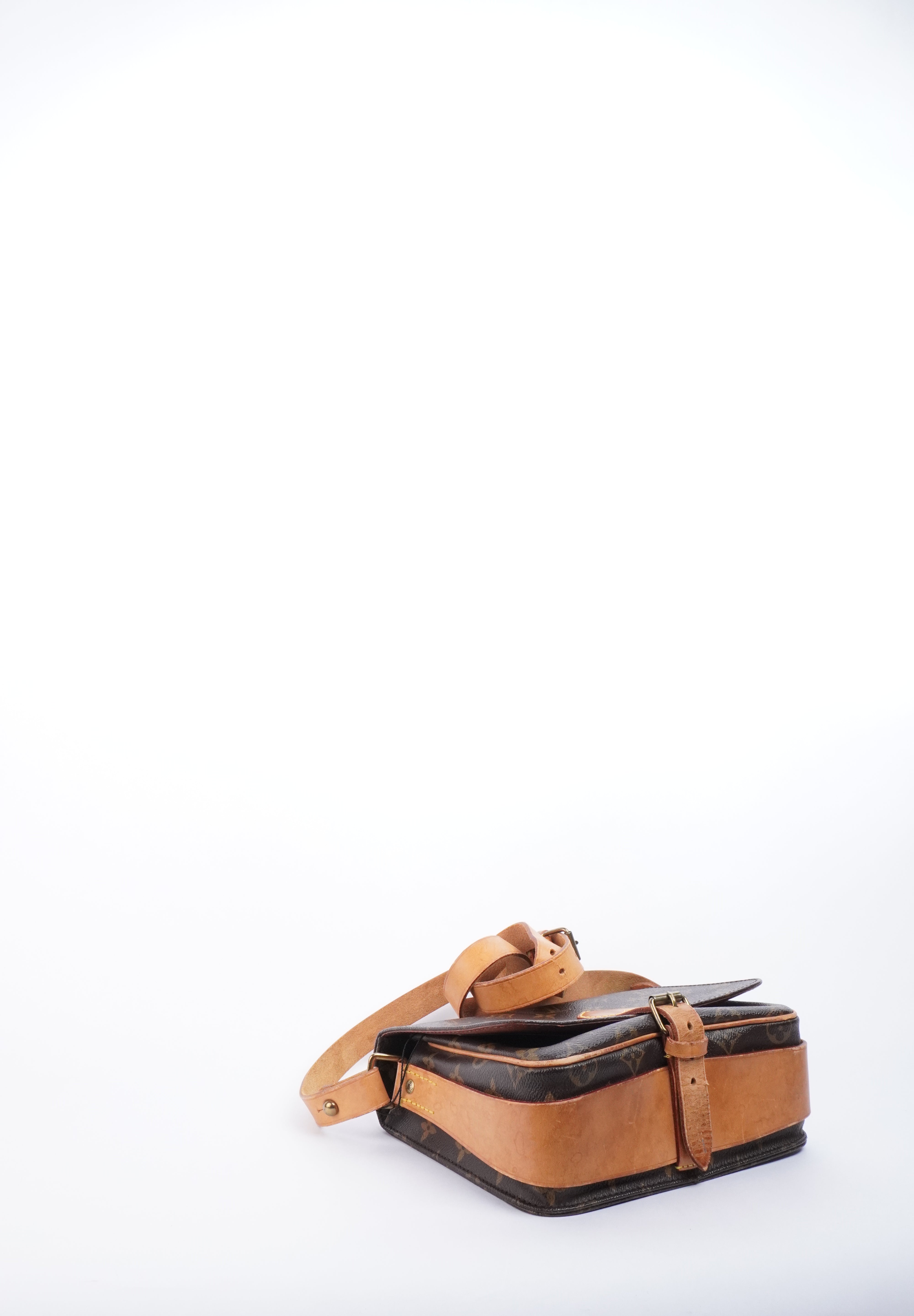 Louis Vuitton Cartouchiere MM