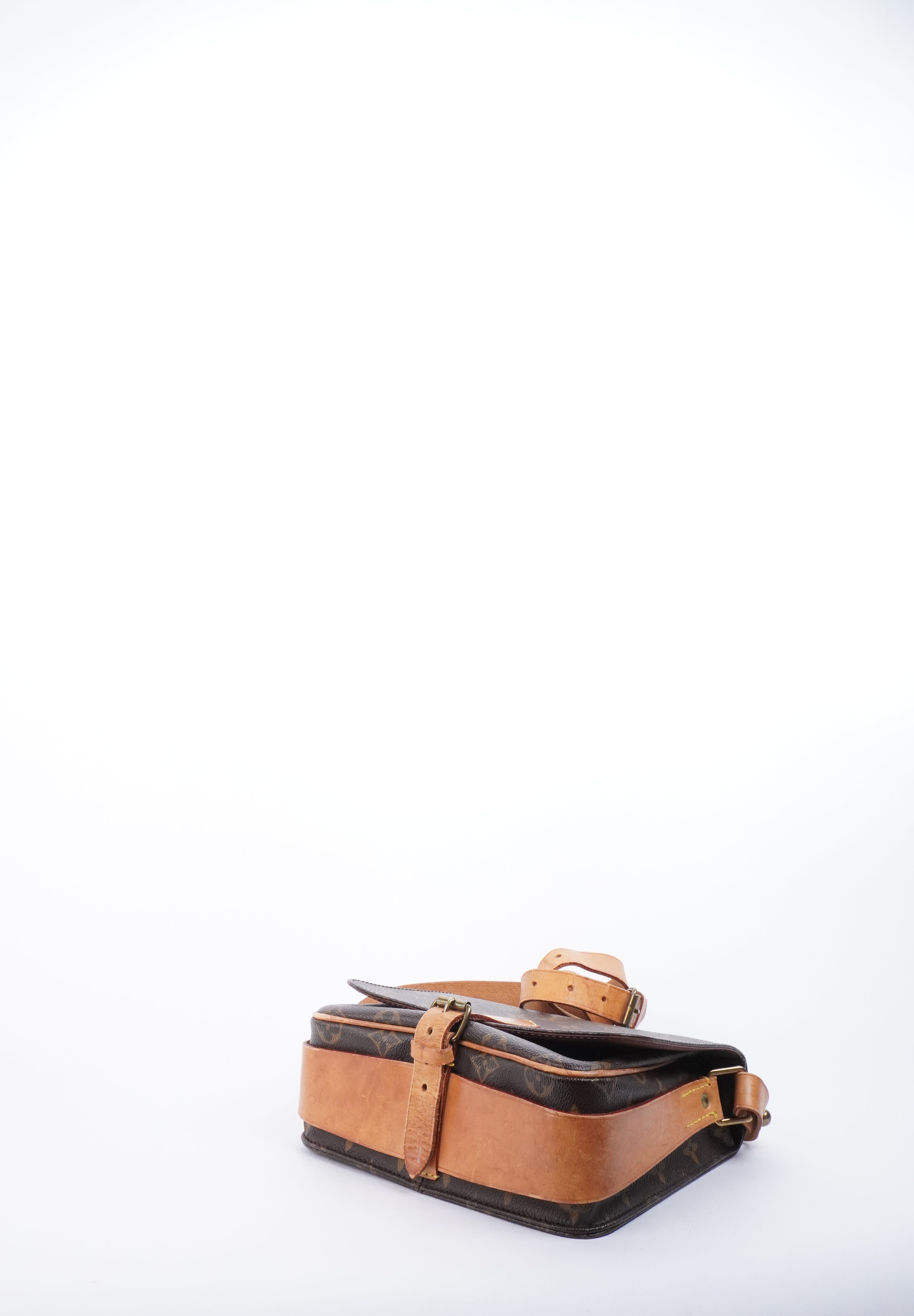 Louis Vuitton Cartouchiere MM