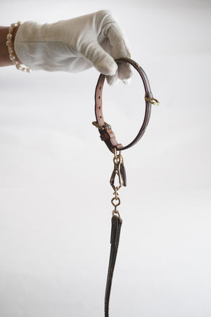 LOUIS VUITTON Monogram Hondenlijn met halsband