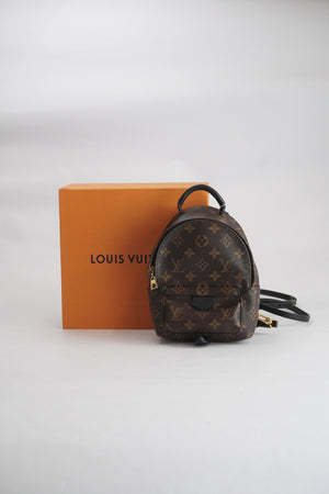 LOUIS VUITTON Palmsprings Backpack