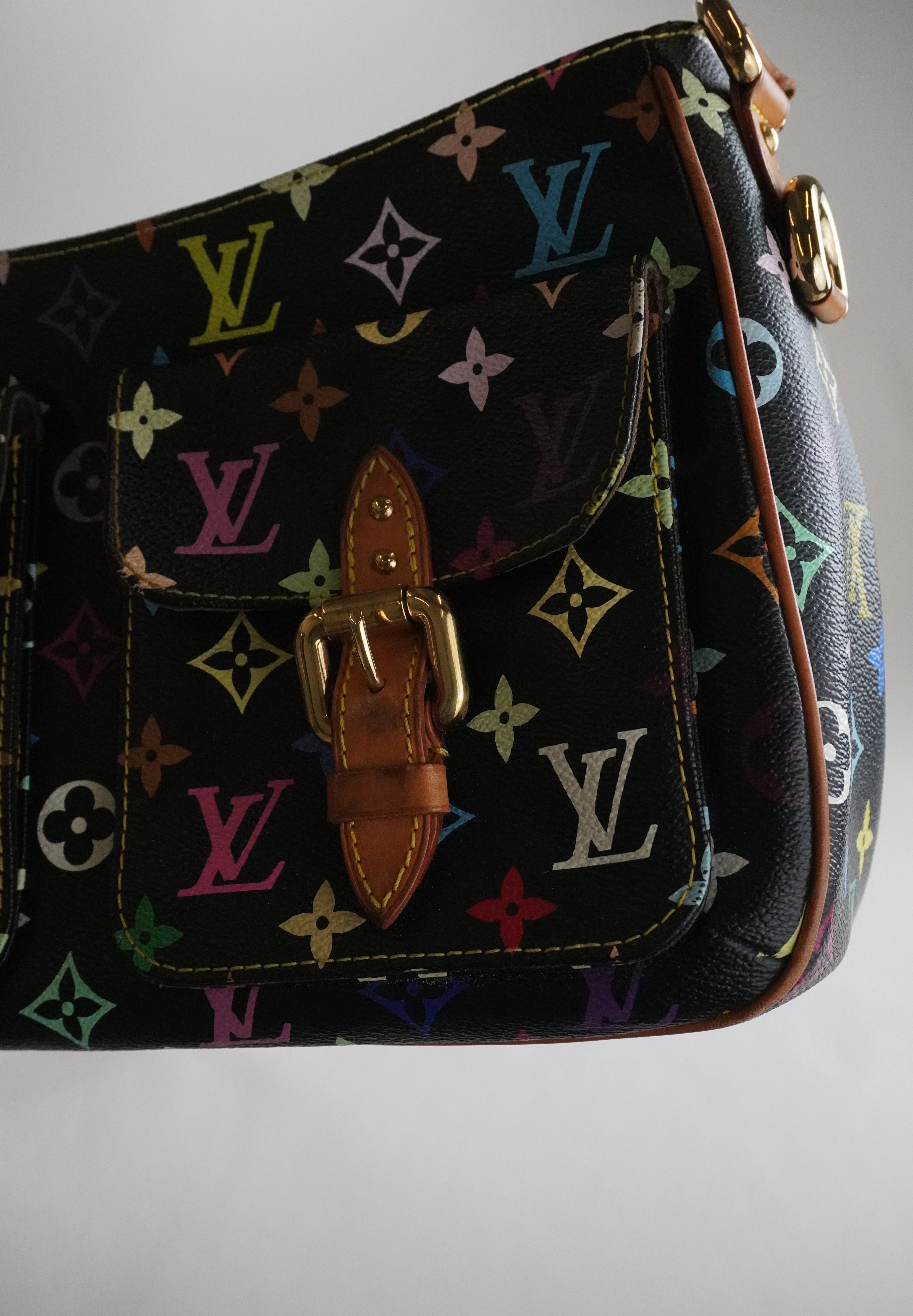 Louis Vuitton Lodge Multicolor