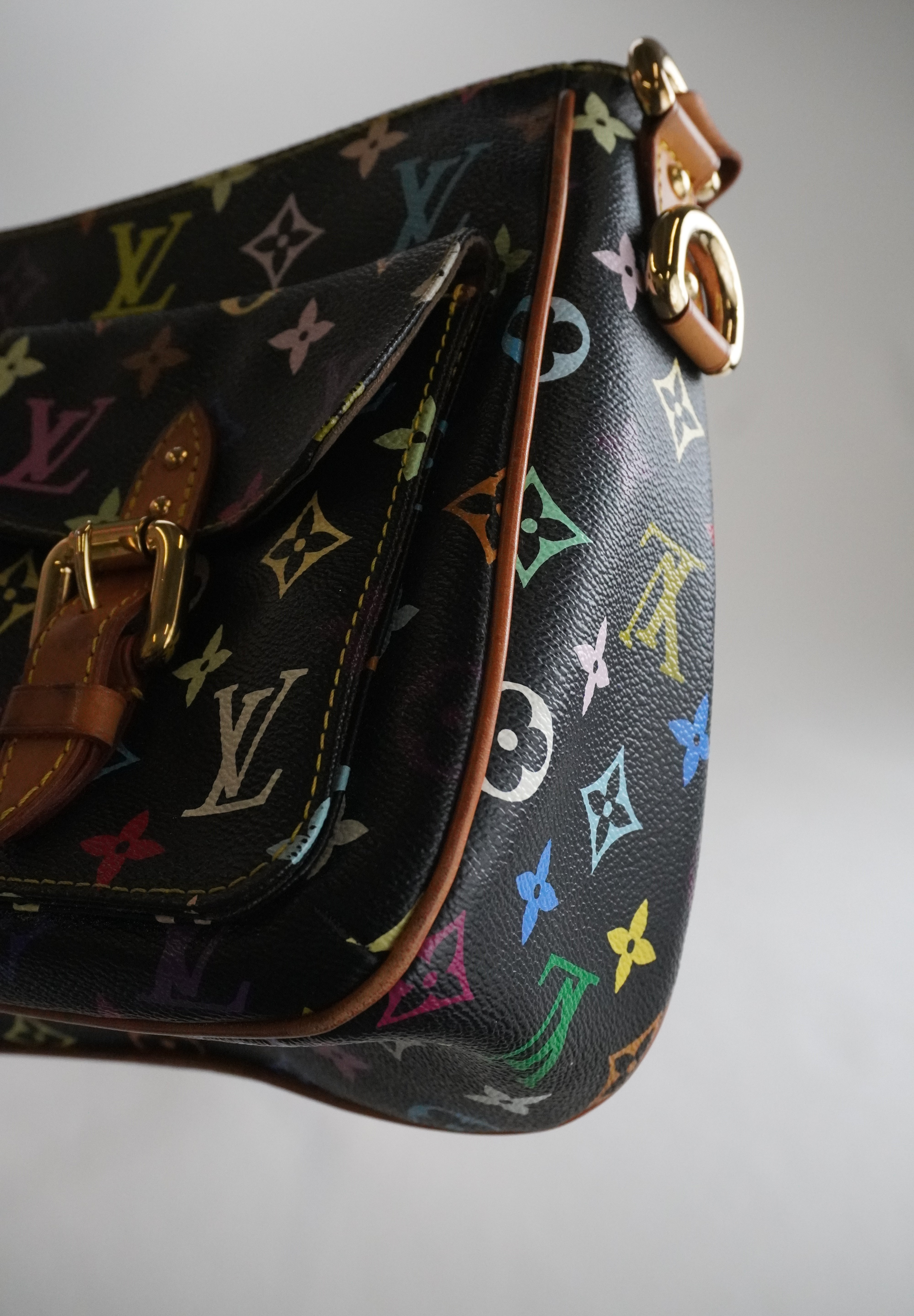 Louis Vuitton Lodge Multicolor
