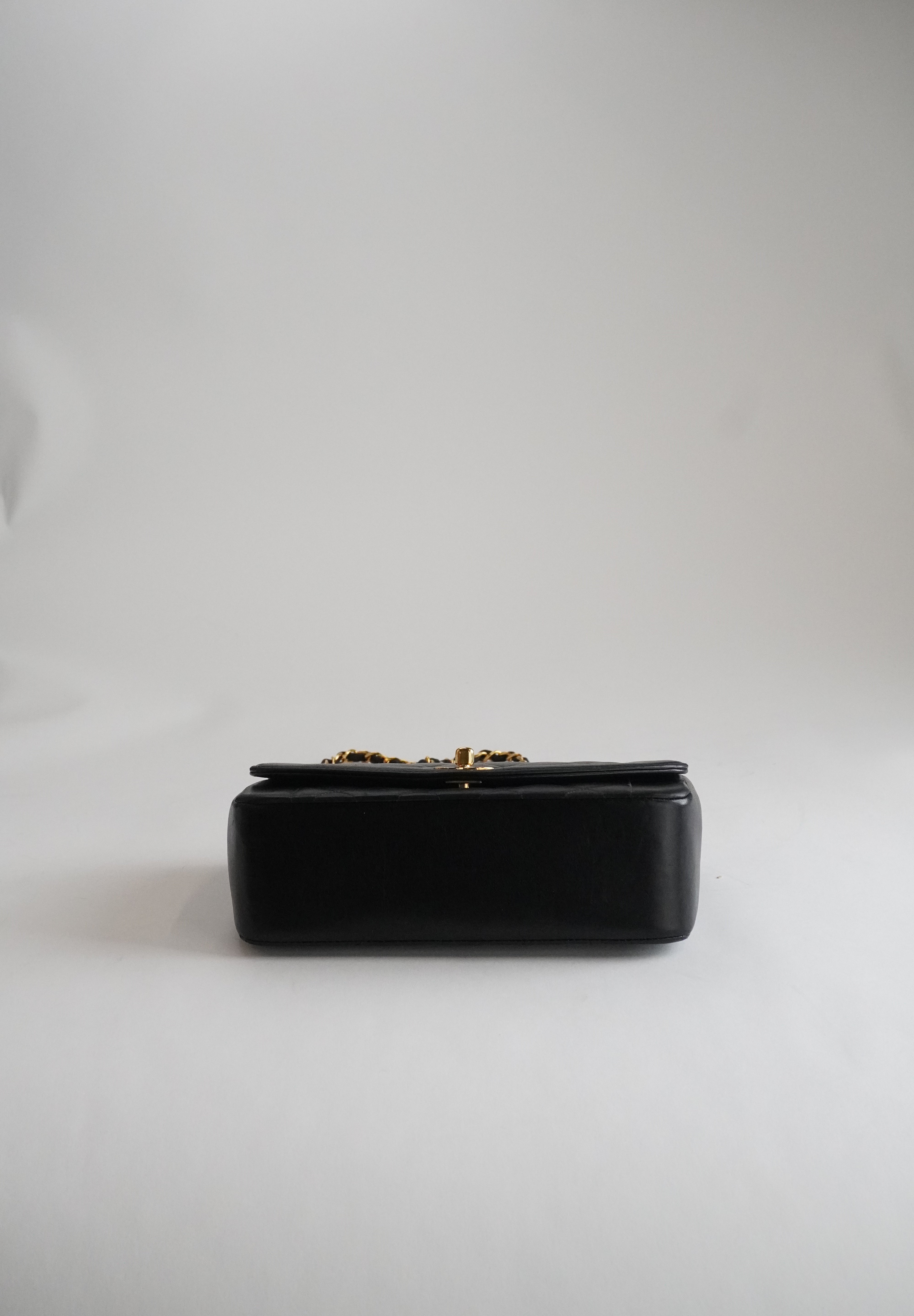 Chanel Diana Small
