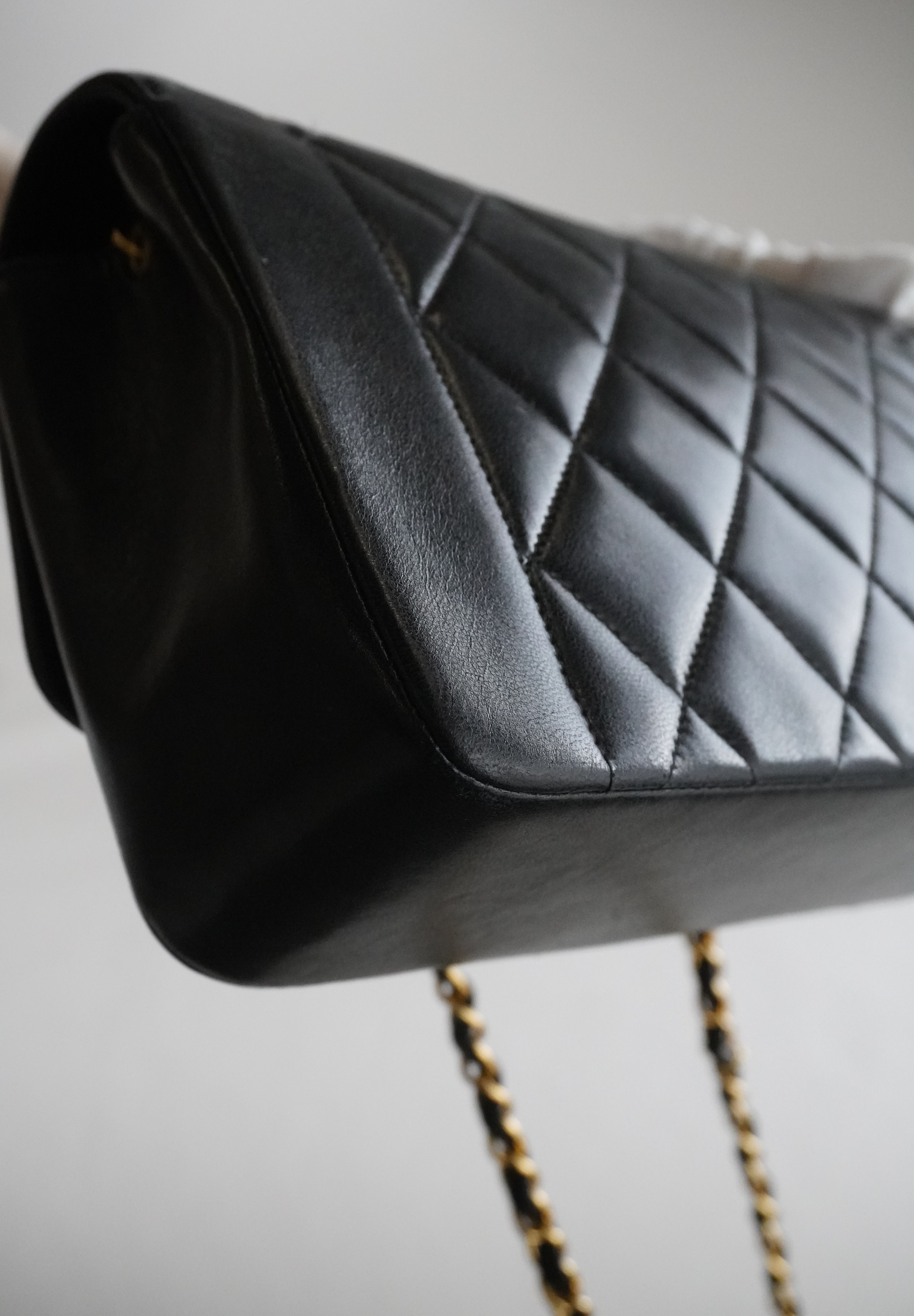 Chanel Diana Small