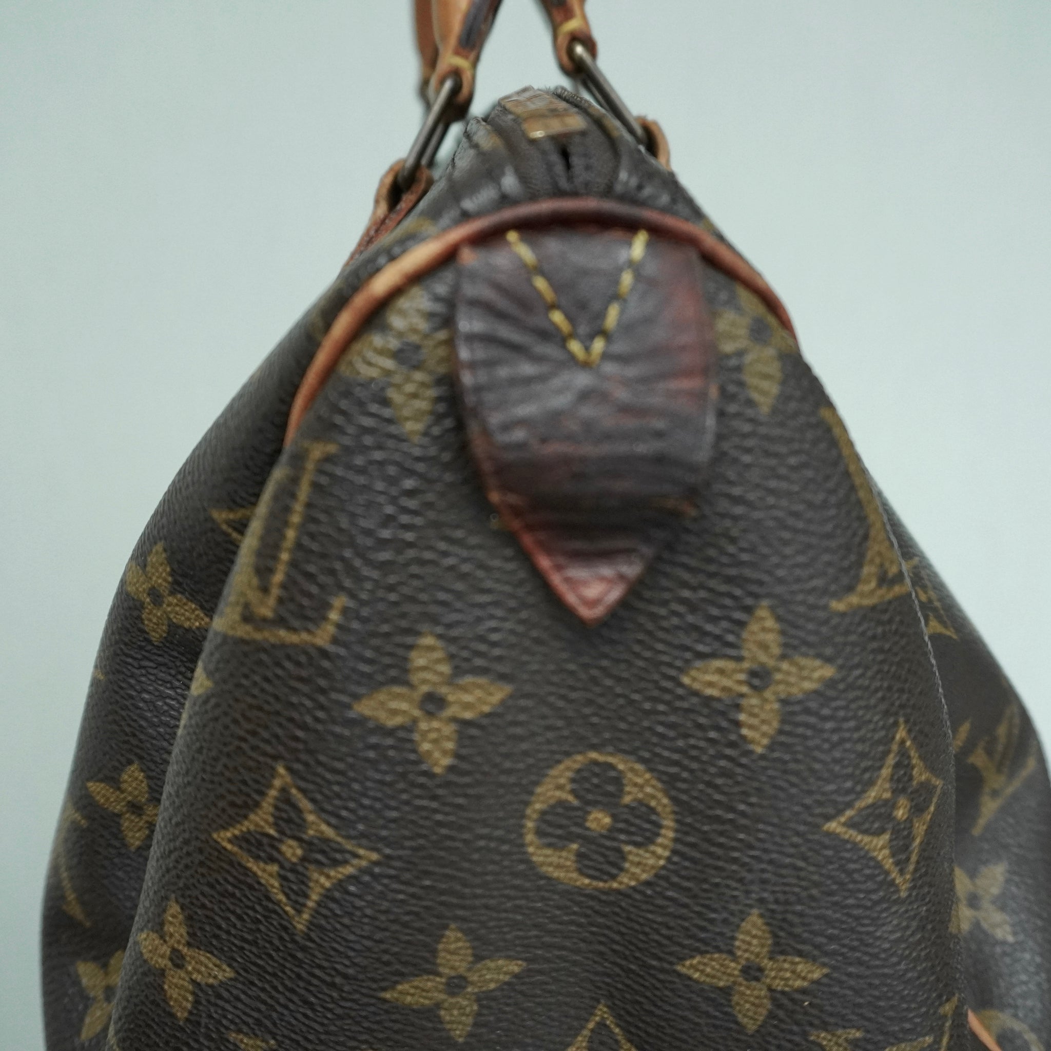 Louis Vuitton Speedy 30 Monogram – The Bags List