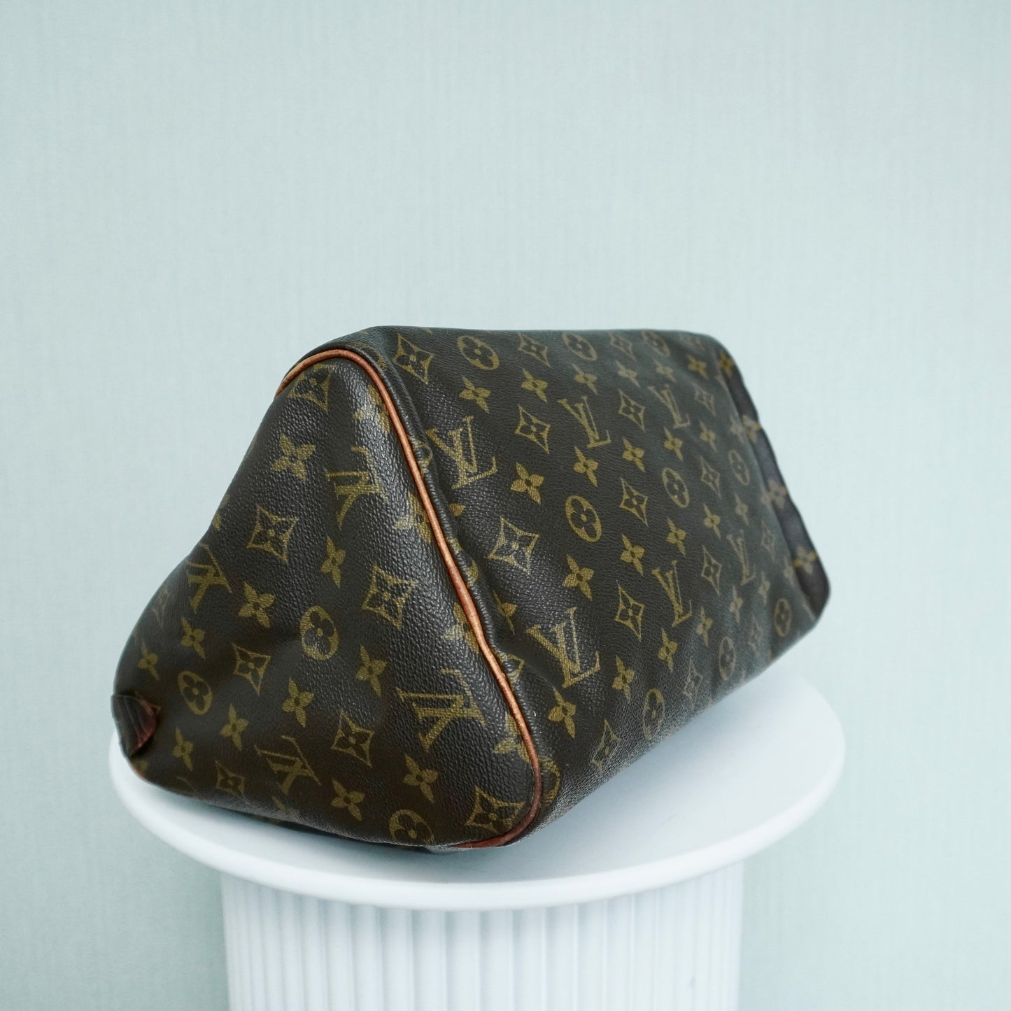 Louis Vuitton Speedy 30 Monogram